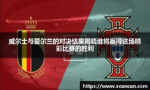 威尔士与爱尔兰的对决结果揭晓谁将赢得这场精彩比赛的胜利