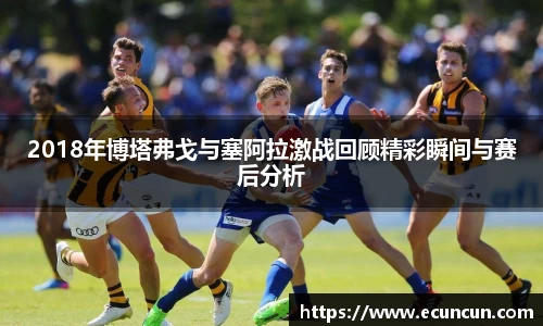 2018年博塔弗戈与塞阿拉激战回顾精彩瞬间与赛后分析